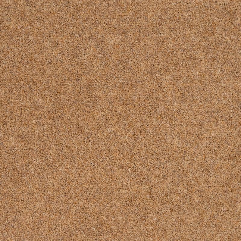Penthouse Carpets Vermont 40oz Carson Carpet