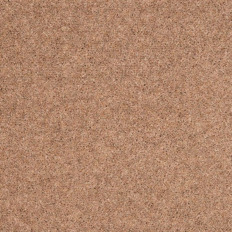 Penthouse Carpets Shoreline 40oz Castaway Carpet