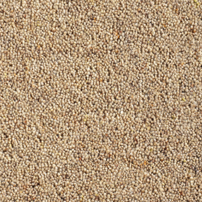 Cavalier Carpets Country Collection Village Shortcake Carpet