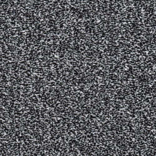 Alpine 2026 Charcoal Carpet