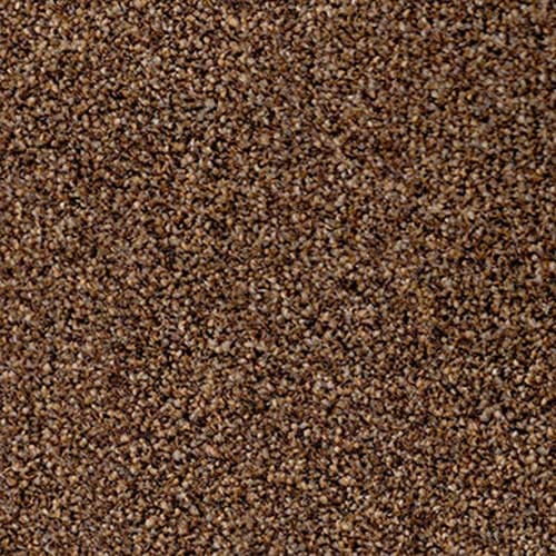Amalfi 2018 Chestnut Carpet