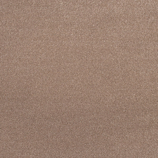 Solido Chocolate Carpet