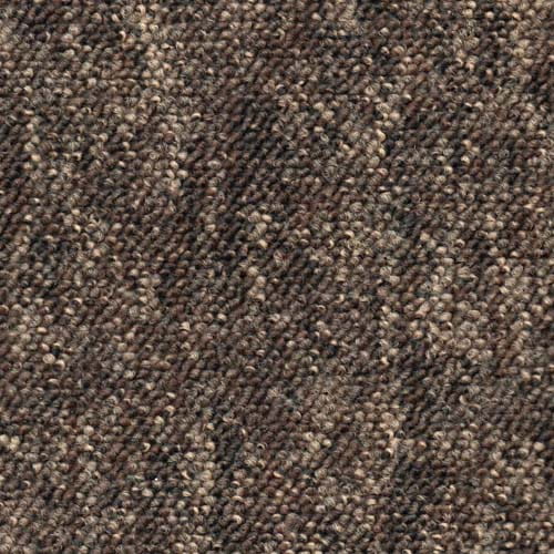 Megastar Chocolate Carpet