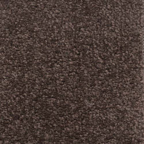 Invicta 2020 Chocolate Carpet