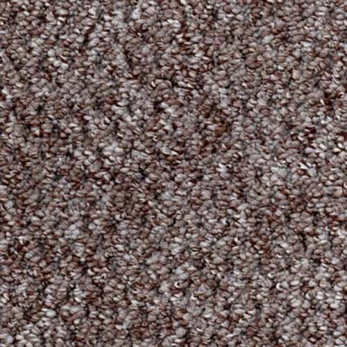 Sweet Home 2020 Coconut Carpet