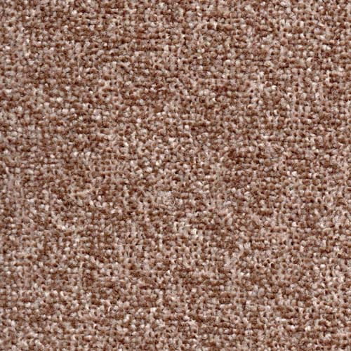 Spotlight Coffee Carpet