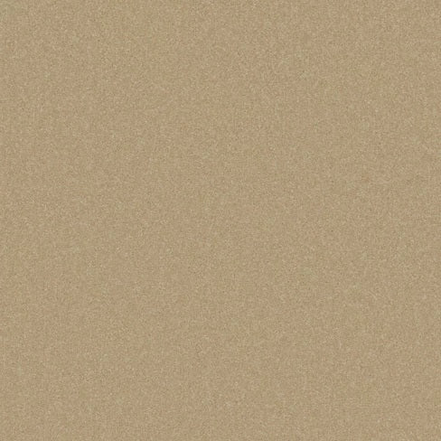 Cormar Primo Plus Muscovado carpet
