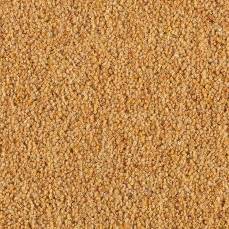 Penthouse Carpets Carlton 36oz Cornhusk Carpet