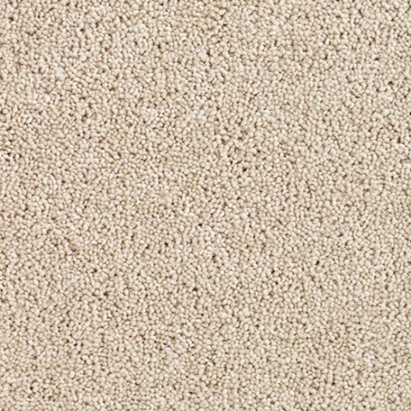 Cavalier Carpets Cosmopolitan Regal Amonite Carpet