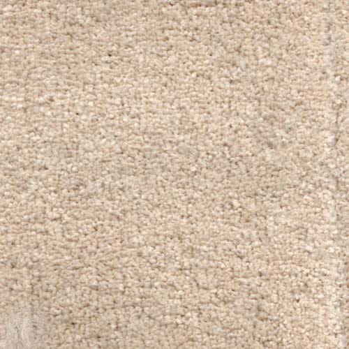 Invicta 2020 Cream Carpet