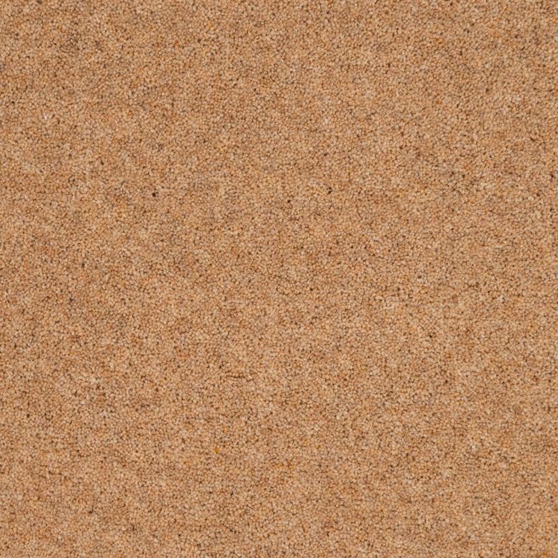 Penthouse Carpets Vermont 50oz Dallas Carpet