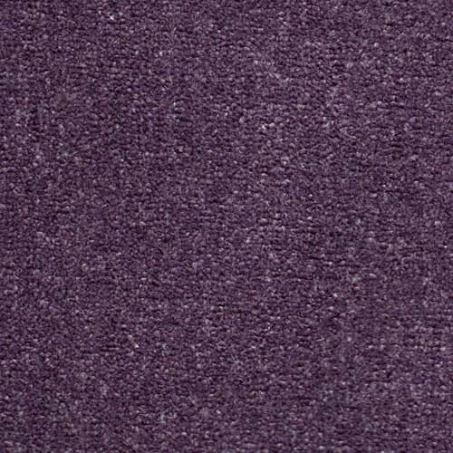 Tramore Supreme Damson Carpet