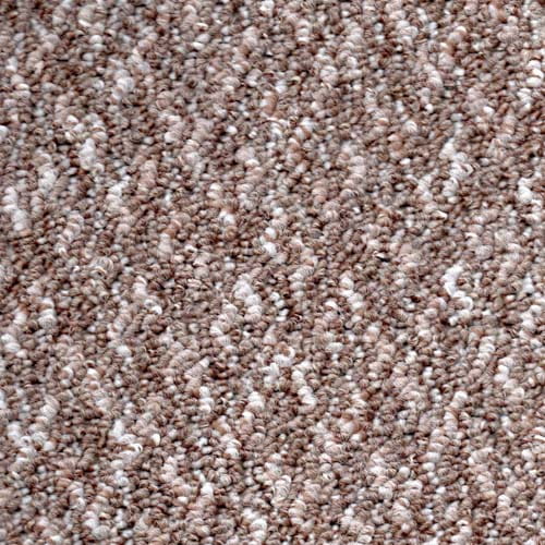 Whitby Dark Beige Carpet