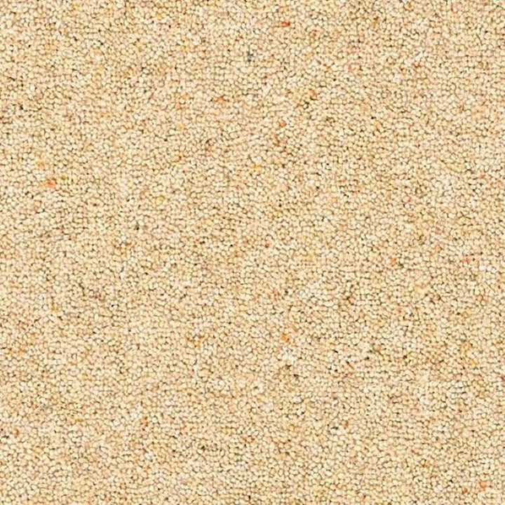 Brockway Carpets Dimensions Berbers Snowdonia 5m Carpet