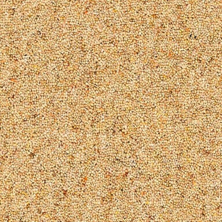 Brockway Carpets Dimensions Berbers Chesil Beach Carpet