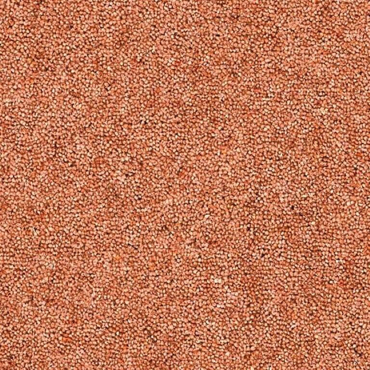Brockway Carpets Dimensions Berbers Barafundle Bay 5m Carpet