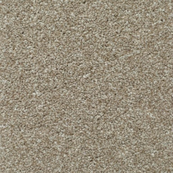 Kingsmead Carpets Devotion Silver Polypropylene Mushroom Carpet