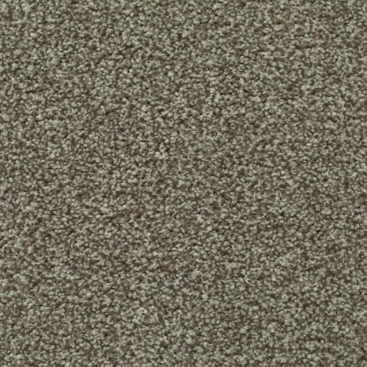 Kingsmead Carpets Devotion Silver Polypropylene Beige Carpet