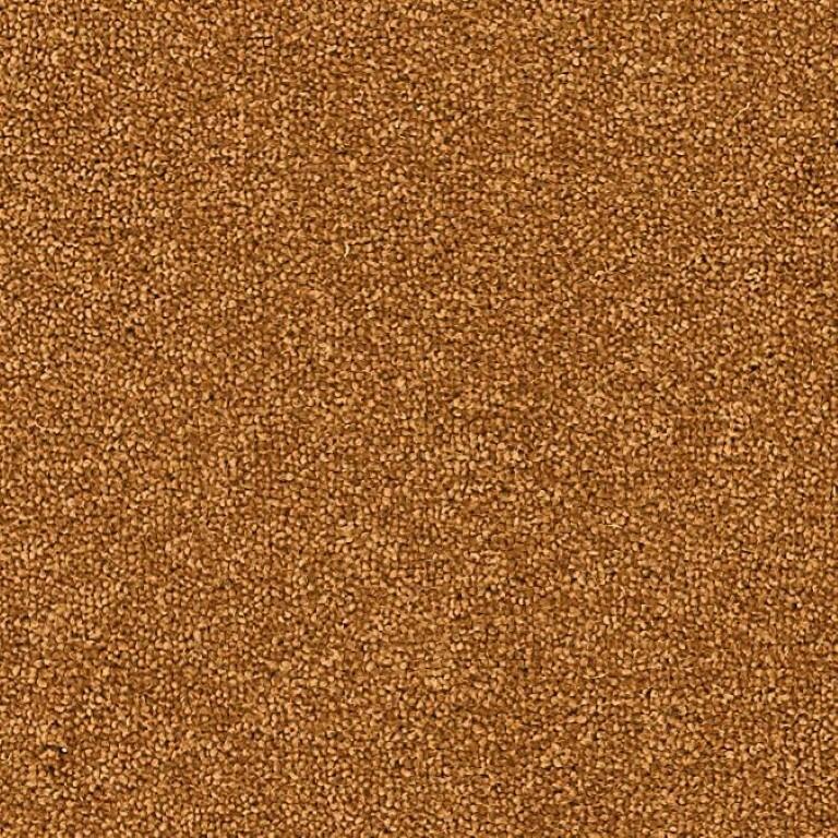 Brockway Carpets Dimensions Plain 50 Auburn Carpet