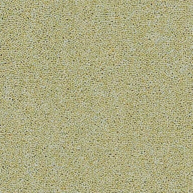 Brockway Carpets Dimensions Plain 50 Soft Green Carpet