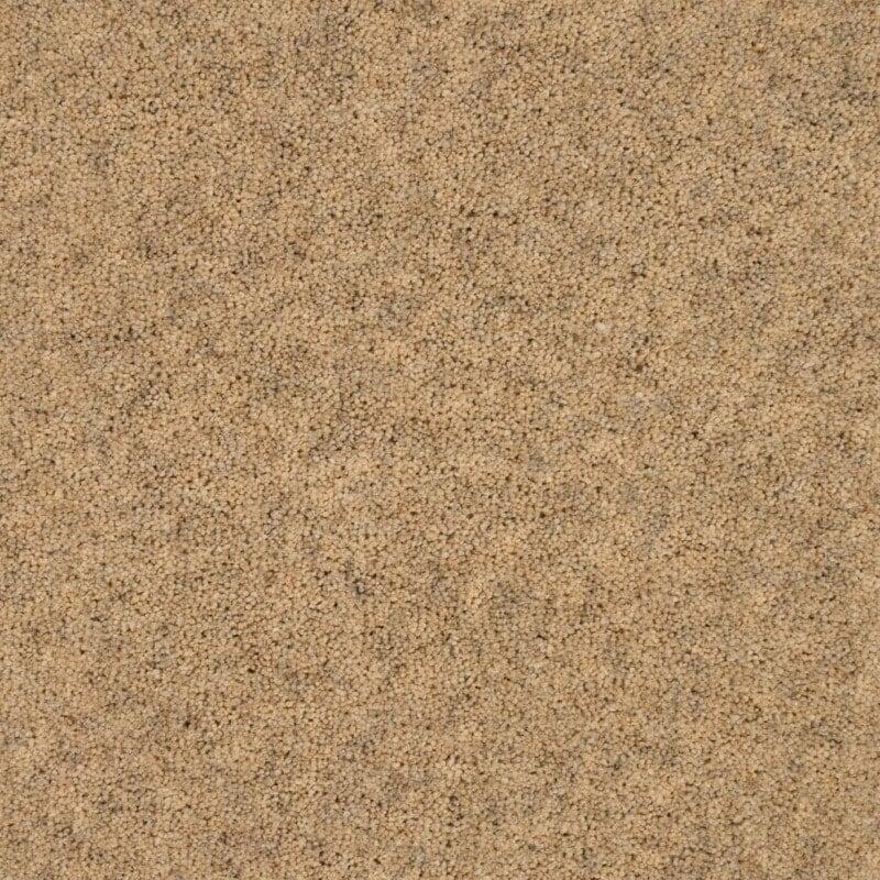 Penthouse Carpets Springtime 50oz Dorset Down Carpet