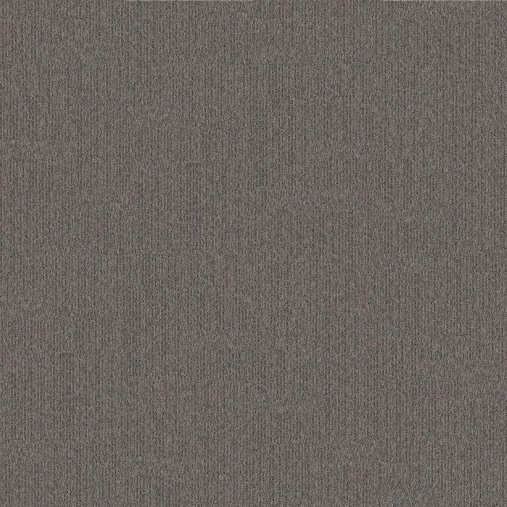 Interface Equilibrium 1190021 Persistence Carpet Tiles