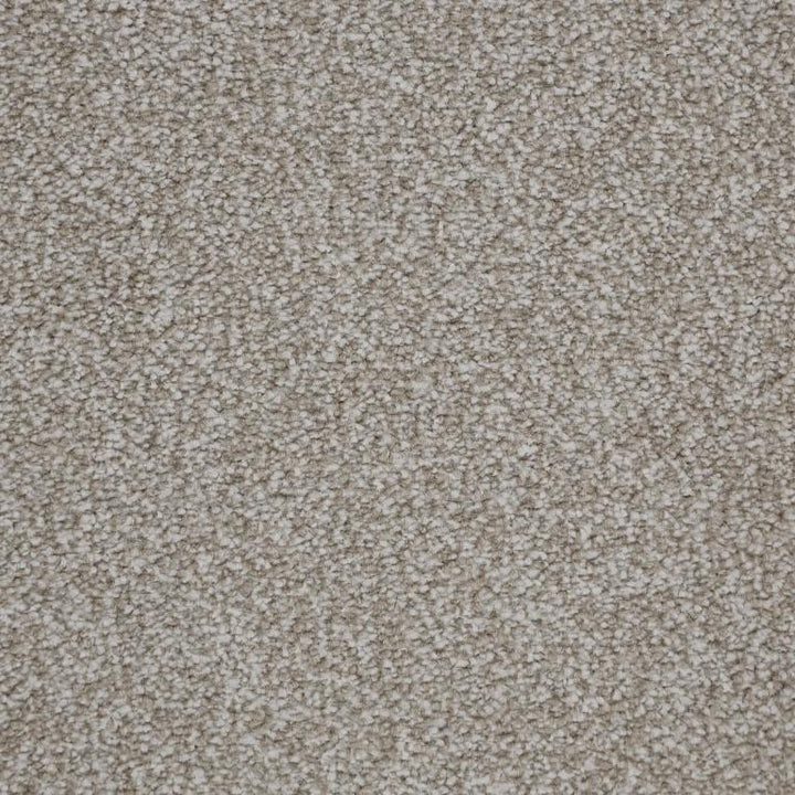 Kingsmead Carpets Fantastic Plus Polypropylene Cookie Carpet