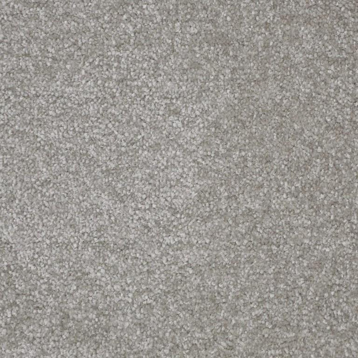 Kingsmead Carpets Fantastic Polypropylene Felt Back Goose Carpet
