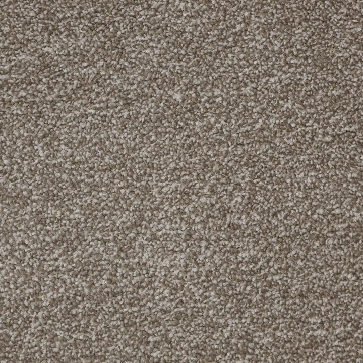 Kingsmead Carpets Fantastic Plus Polypropylene Soft Truffle Carpet