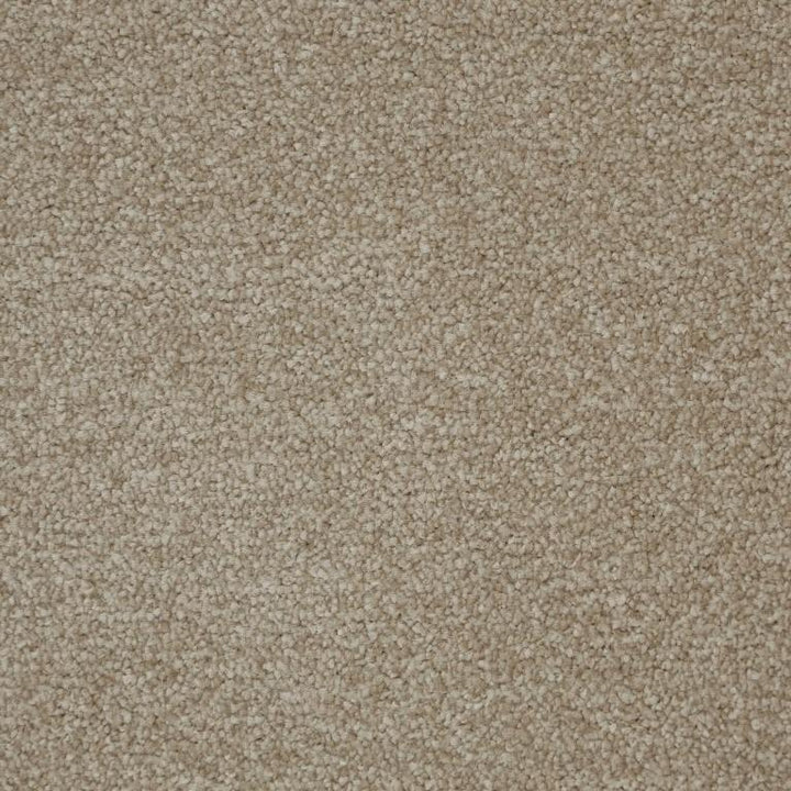 Kingsmead Carpets Fantastic Polypropylene Tuscan Carpet