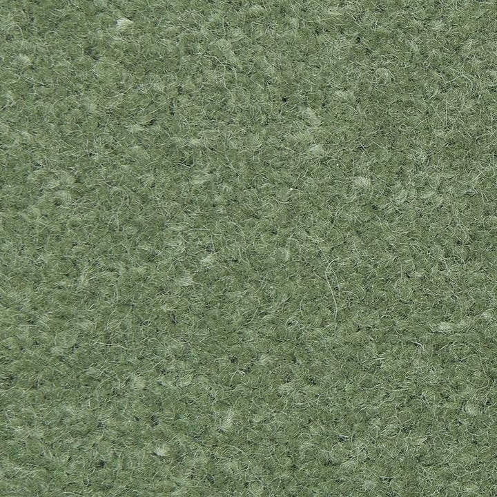 Causeway Carpets Fine Velvet Cooking Apple 21 Carpet