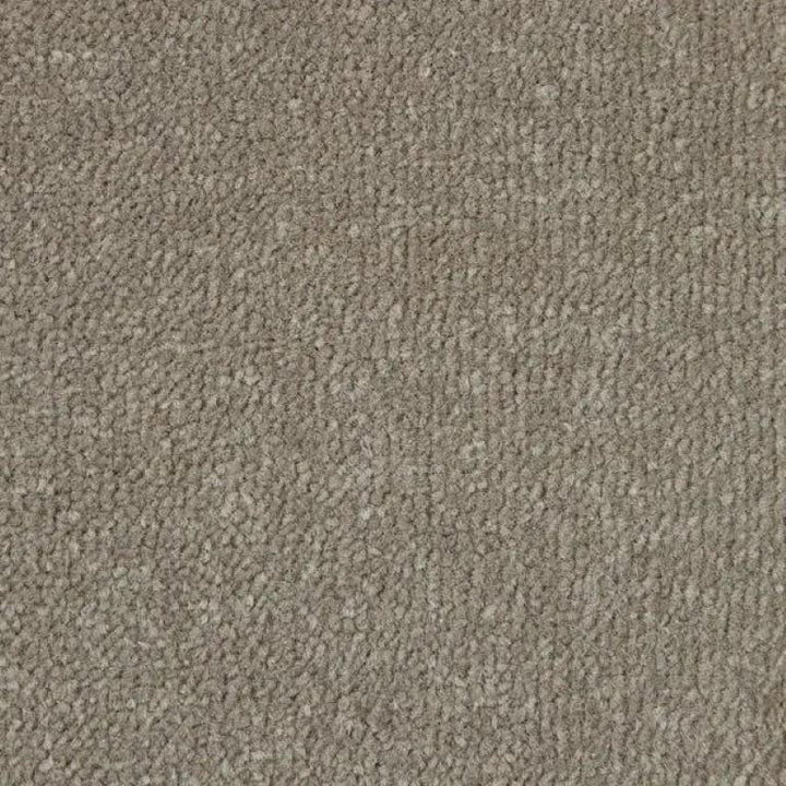 Kingsmead Carpets Fine Velvet Polypropylene Pheasant Carpet