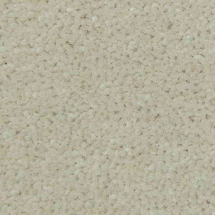 Causeway Carpets Fine Velvet Satin 24 Carpet