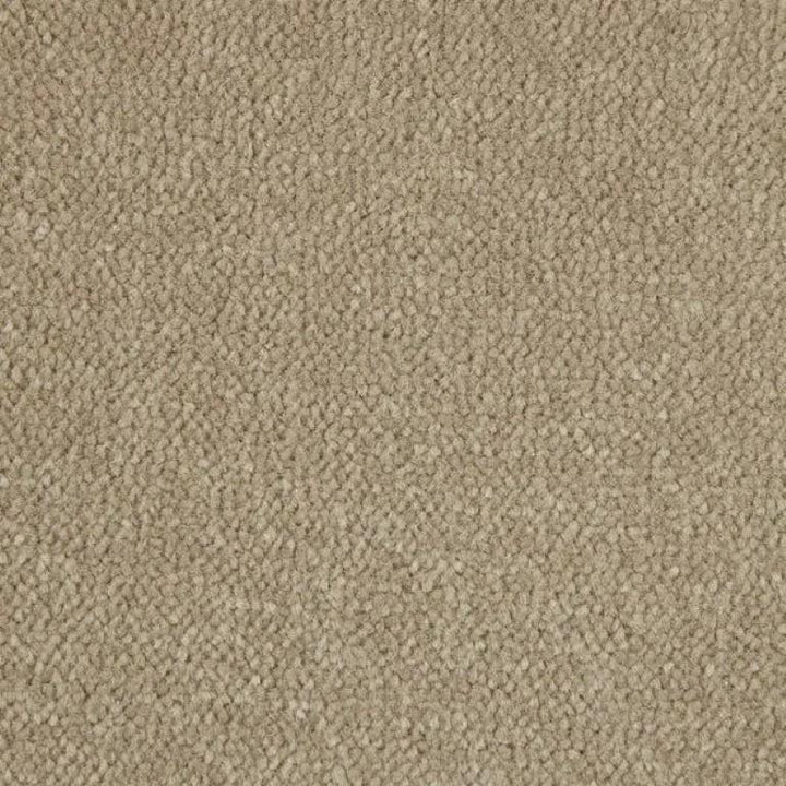 Kingsmead Carpets Fine Velvet Polypropylene Tallow Carpet