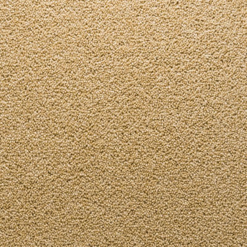Penthouse Carpets Stateside 50oz Florida Carpet