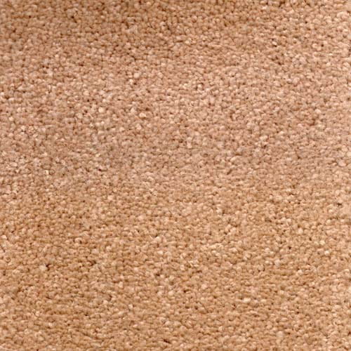 Invicta 2020 Fudge Carpet