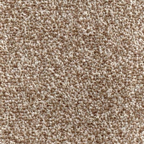 Hong Kong 2024 Fudge Carpet