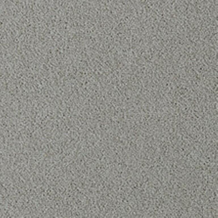 Westex Fine Twist Bayton Birch Carpet