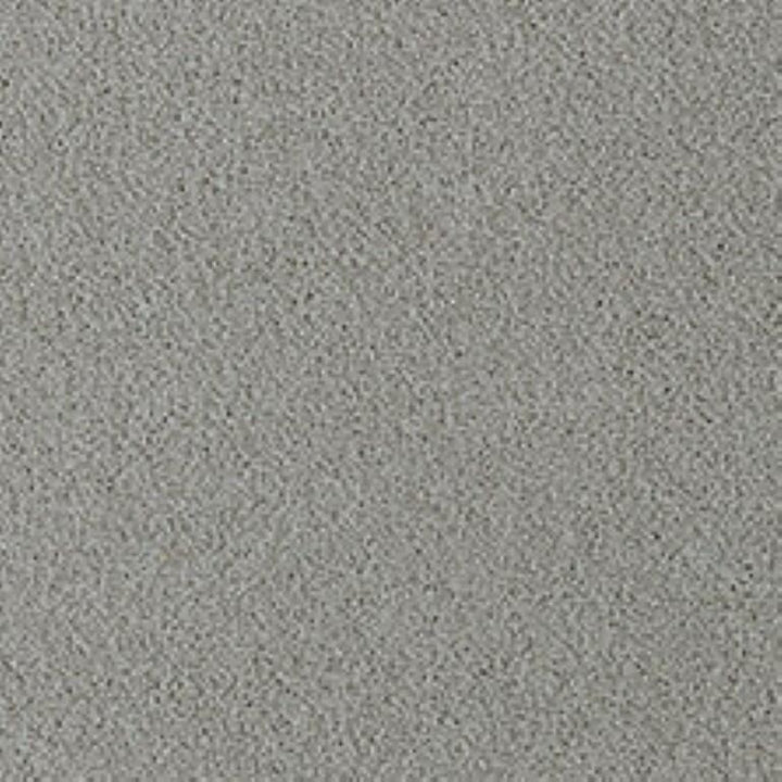 Westex Fine Twist Bayton Birch Carpet