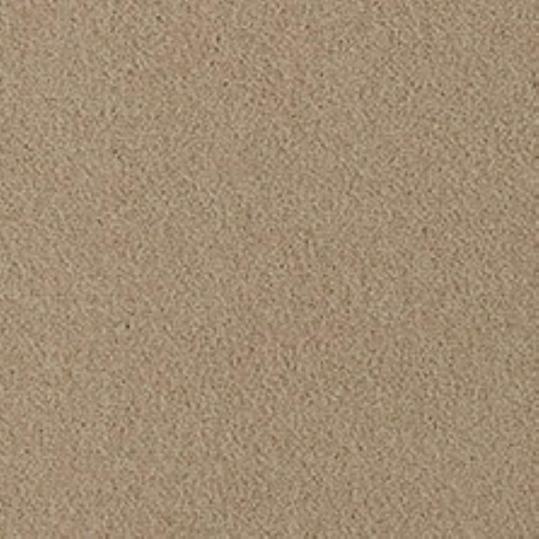Westex Fine Twist Bransford Biscuit Carpet