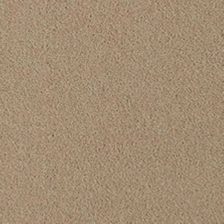 Westex Fine Twist Bransford Biscuit Carpet