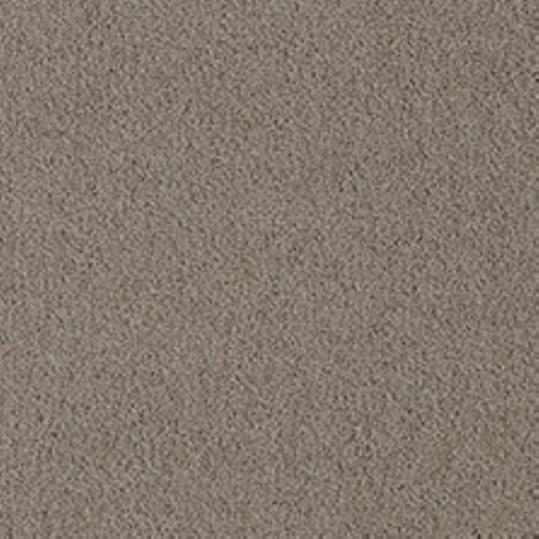 Westex Fine Twist Charford Clay Carpet