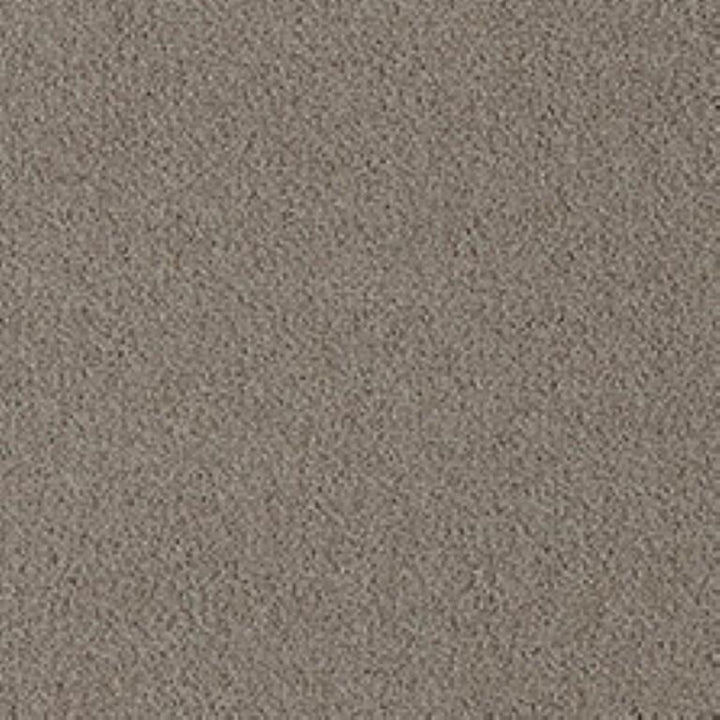 Westex Fine Twist Charford Clay Carpet
