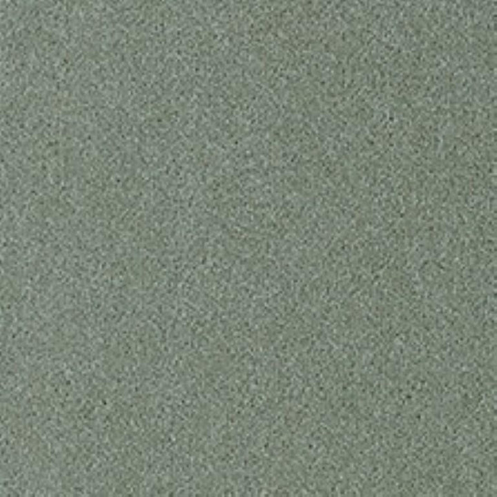 Westex Fine Twist Charlton Catkin Carpet