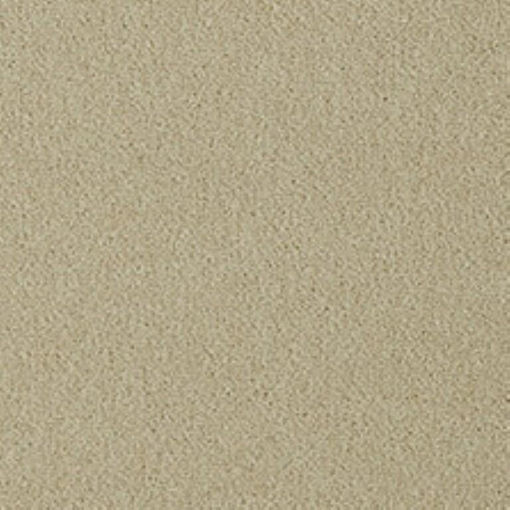 Westex Fine Twist Cooksey Calico Carpet