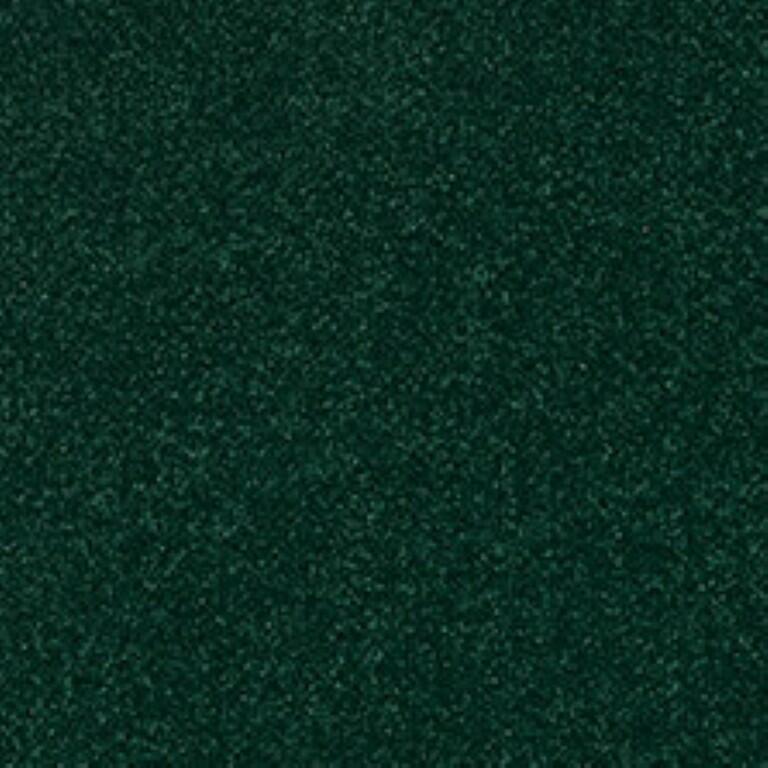Westex Fine Twist Cropthorne Cypress Carpet