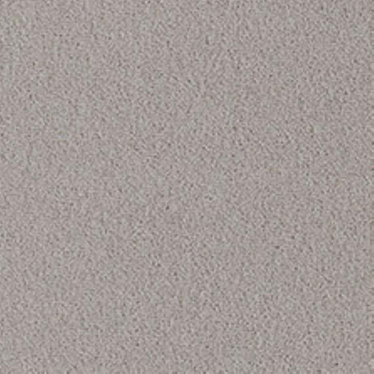 Westex Fine Twist Draycott Dawn Carpet