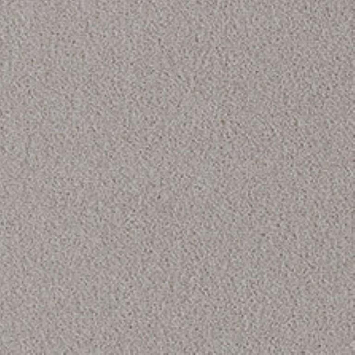 Westex Fine Twist Draycott Dawn Carpet