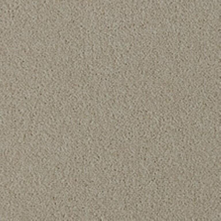 Westex Fine Twist Fernhill Fleece Carpet