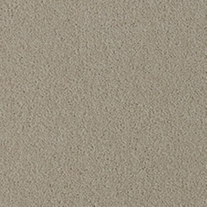 Westex Fine Twist Fernhill Fleece Carpet